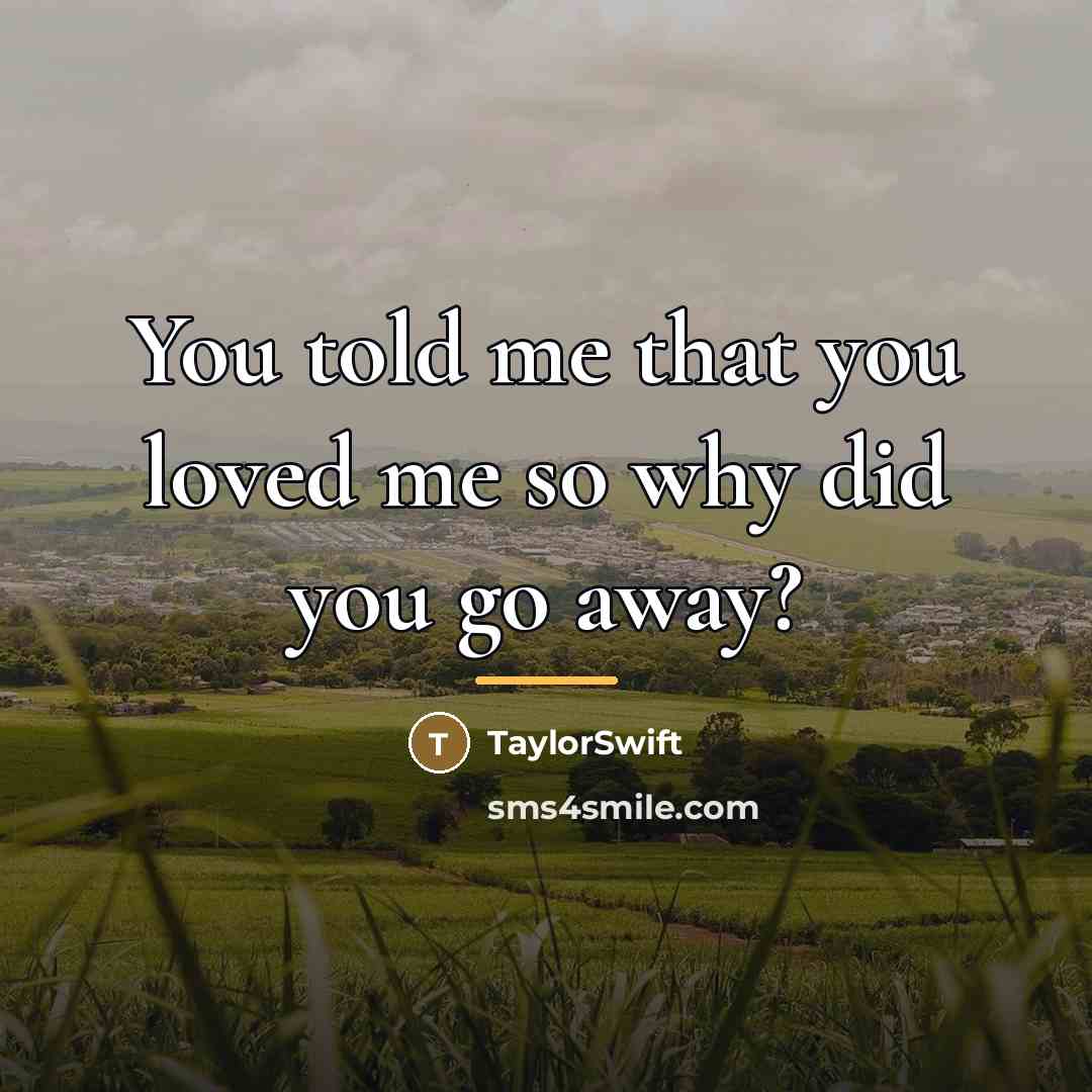“You told me that you loved me so why did…” quote by TaylorSwift