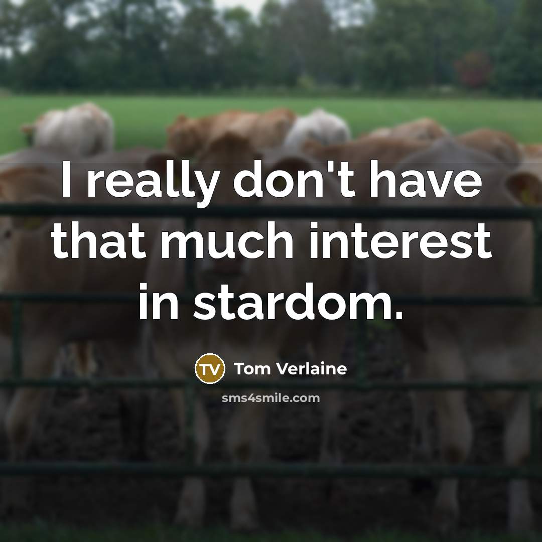 “I really don't have that much interest in stardom.…” quote by Tom Verlaine