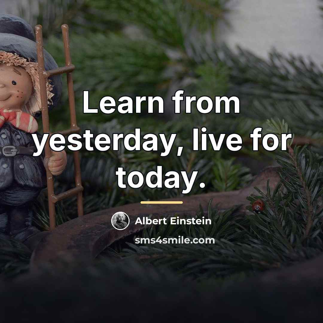 “Learn from yesterday, live for today.…” quote by Albert Einstein