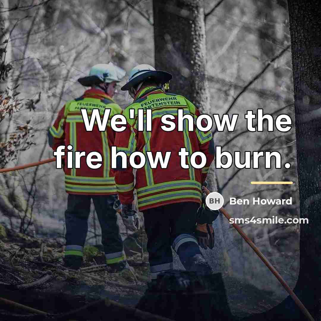 “We'll show the fire how to burn.…” quote by Ben Howard