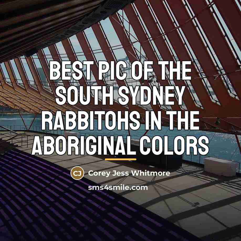 “Best pic of the south sydney rabbitohs in the aboriginal…” quote by Corey Jess Whitmore