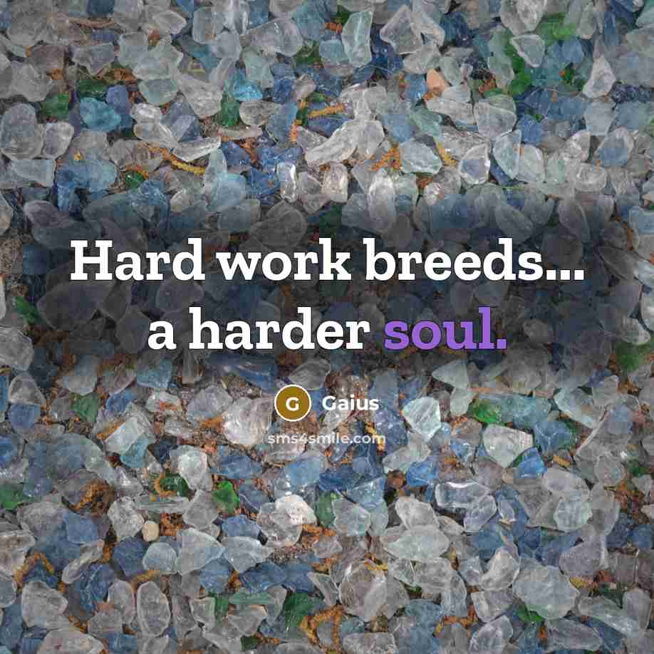 “Hard work breeds... a harder soul.…” quote by Gaius