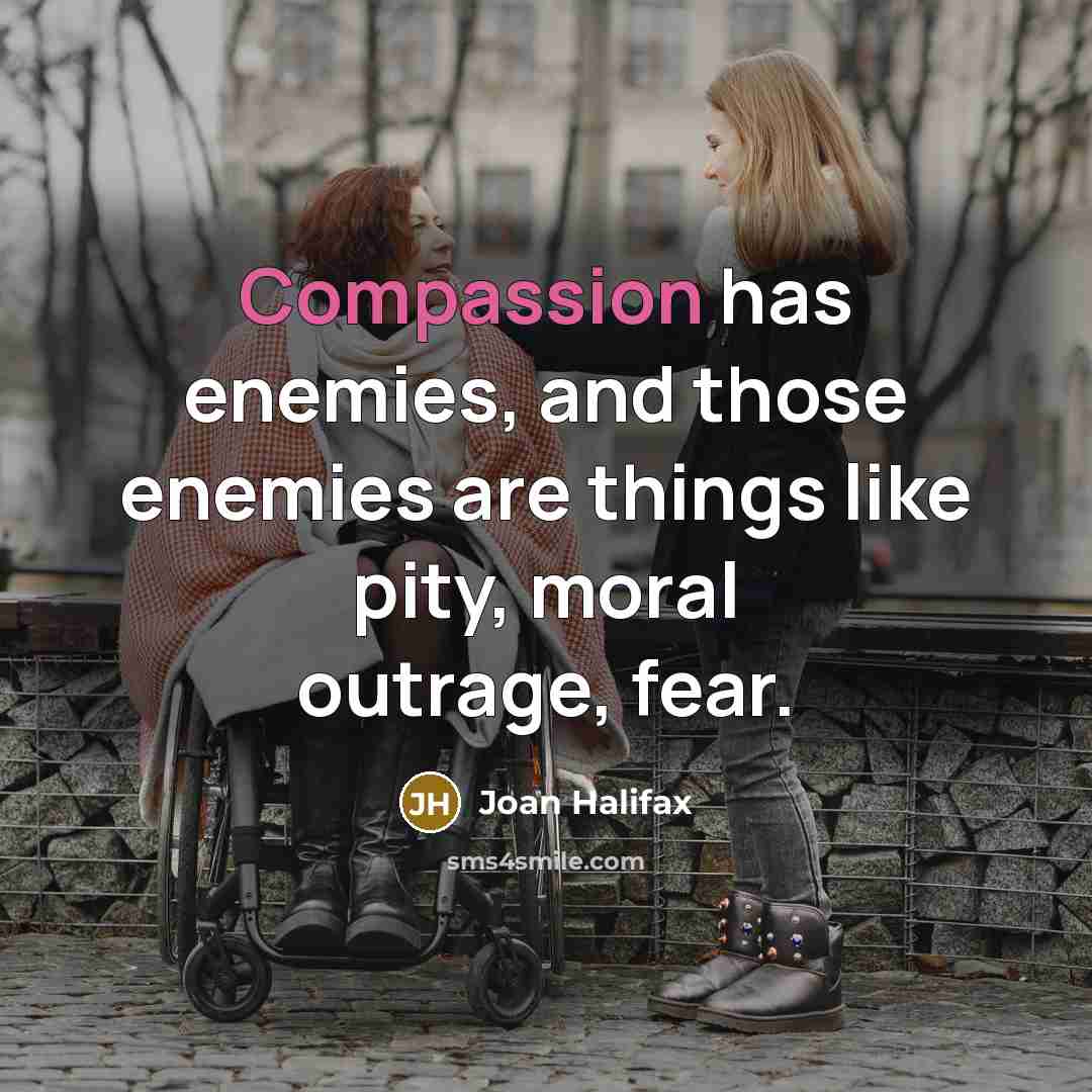 “Compassion has enemies, and those enemies are things like pity,…” quote by Joan Halifax