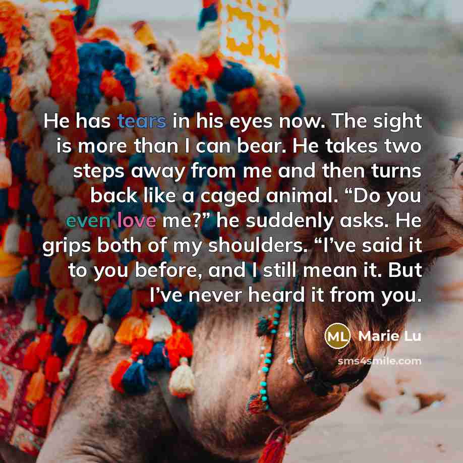 “He has tears in his eyes now. The sight is…” quote by Marie Lu