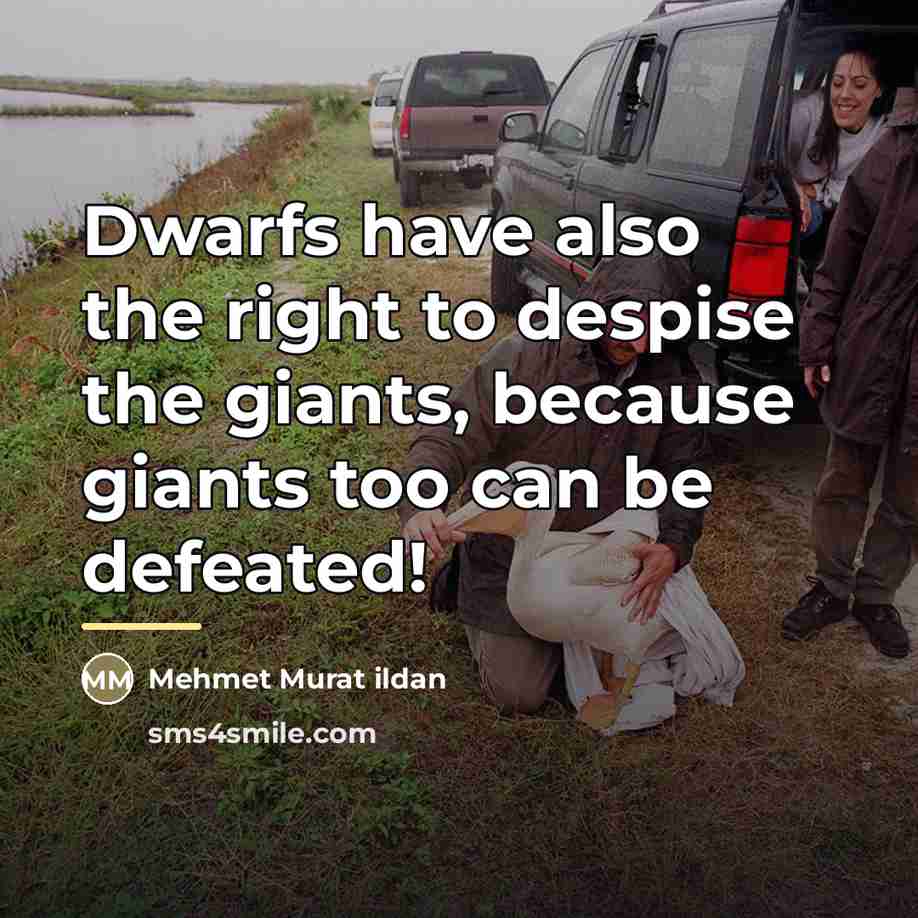 “Dwarfs have also the right to despise the giants, because…” quote by Mehmet Murat Ildan