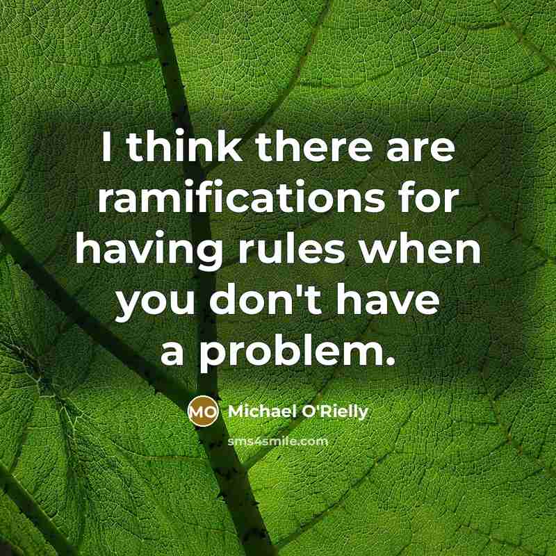 “I think there are ramifications for having rules when you…” quote by Michael O'Rielly
