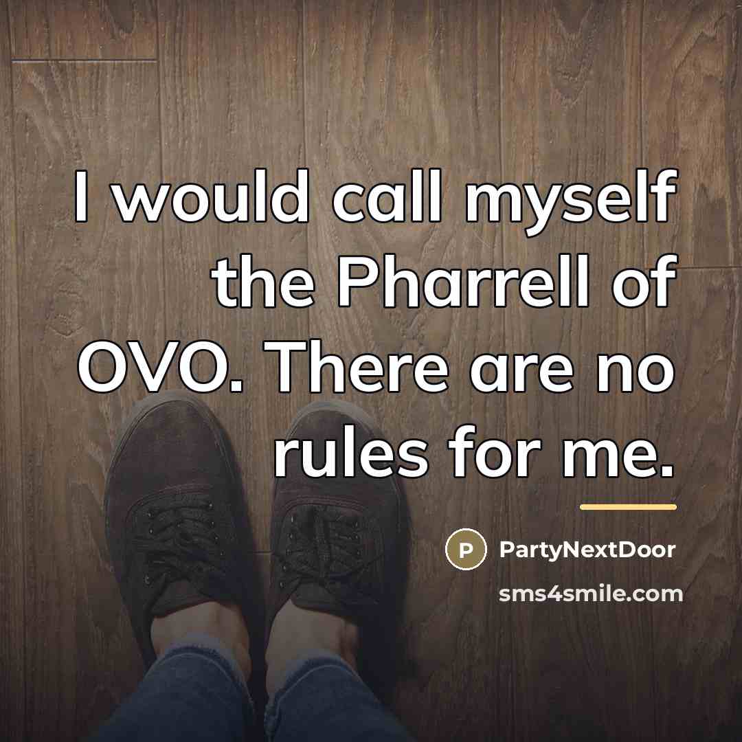 “I would call myself the Pharrell of OVO. There are…” quote by PartyNextDoor