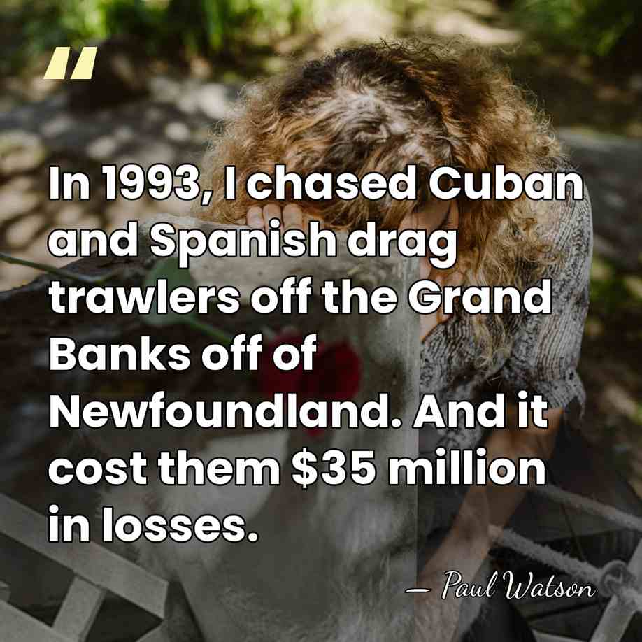 In 1993, I chased Cuban and Spanish drag trawlers off the Grand&hellip; - Paul Watson