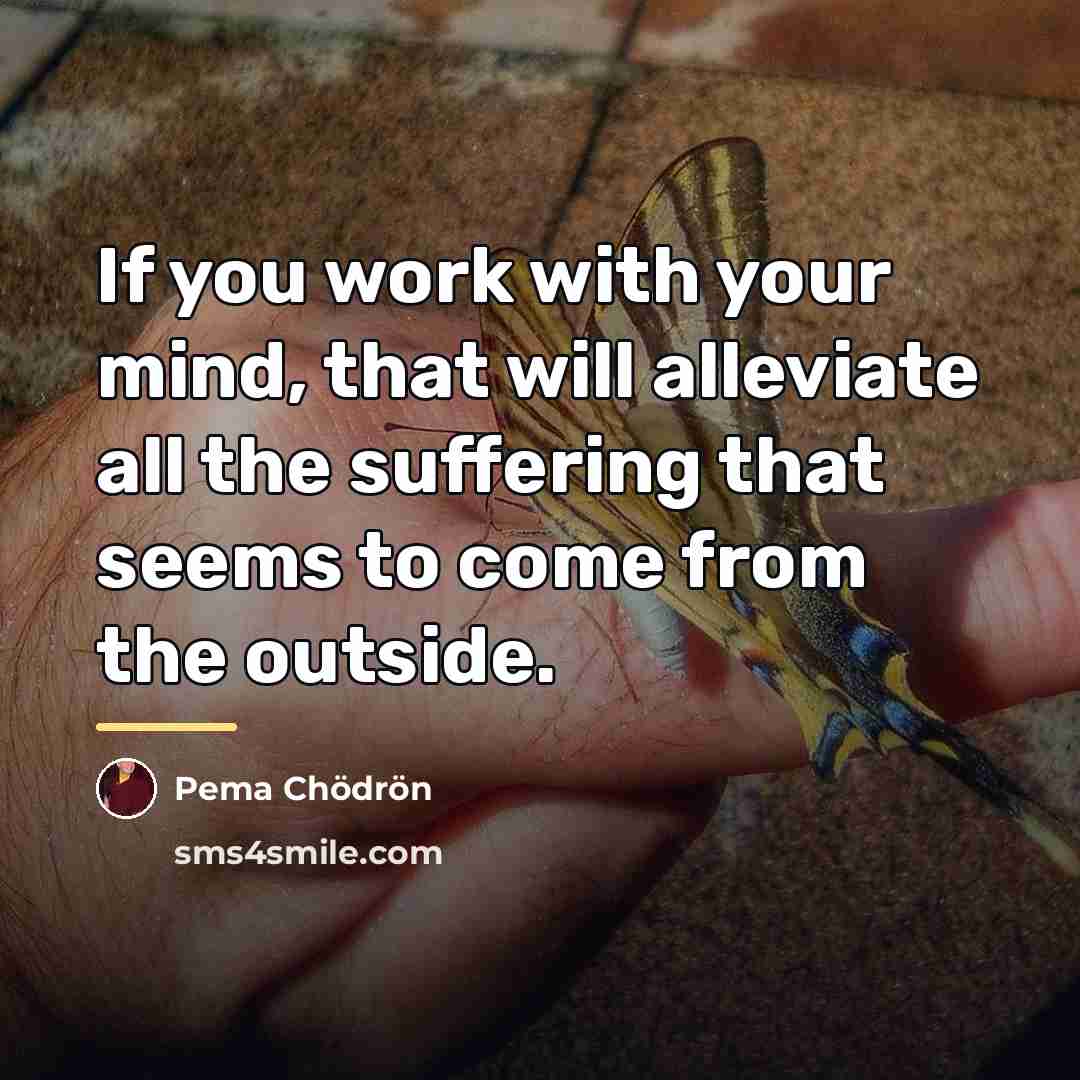 “If you work with your mind, that will alleviate all…” quote by Pema Chodron