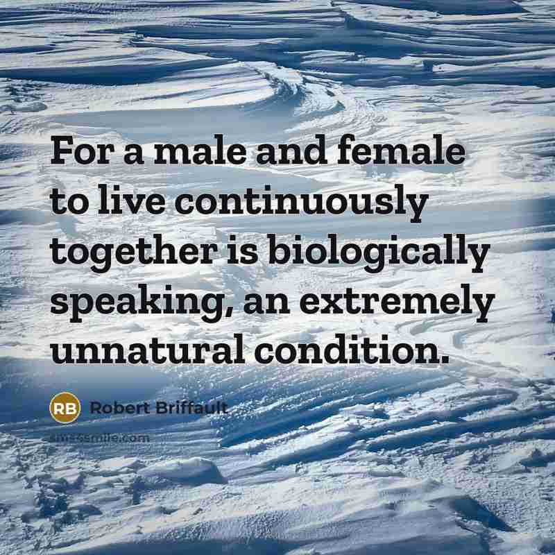 “For a male and female to live continuously together is…” quote by Robert Briffault