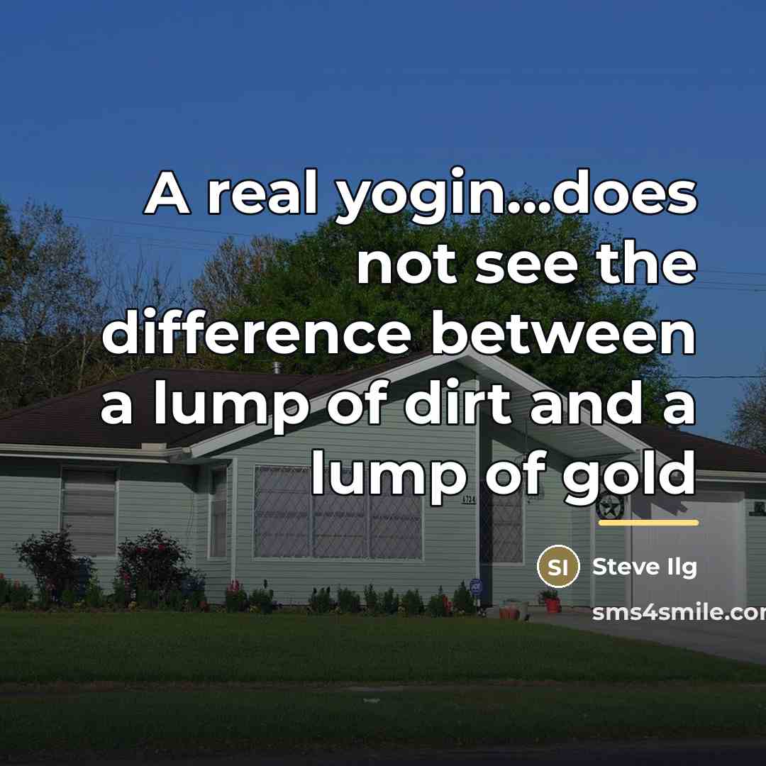 “A real yogin...does not see the difference between a lump…” quote by Steve Ilg