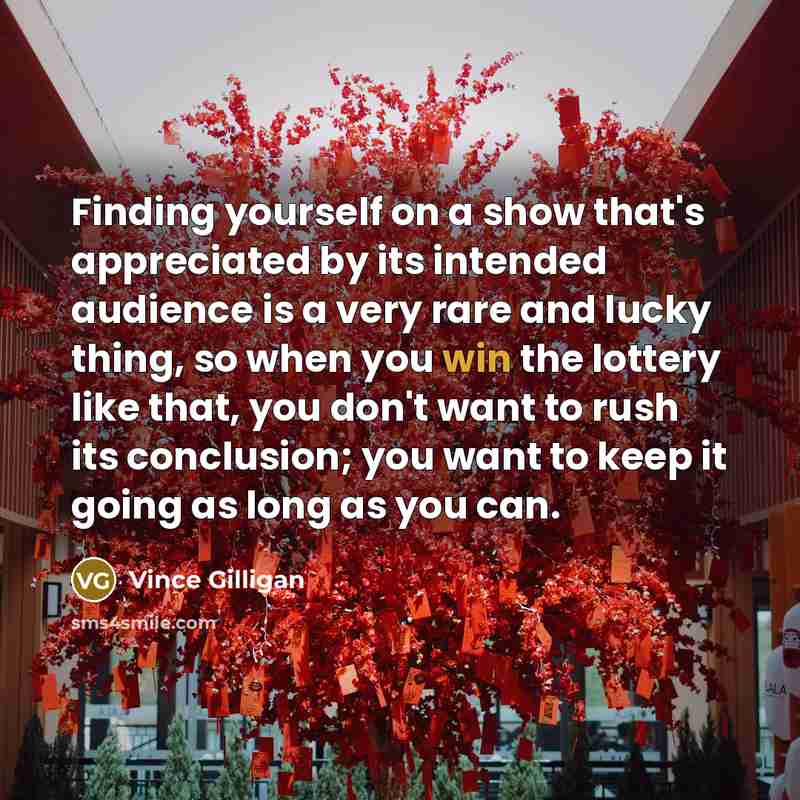 “Finding yourself on a show that's appreciated by its intended…” quote by Vince Gilligan