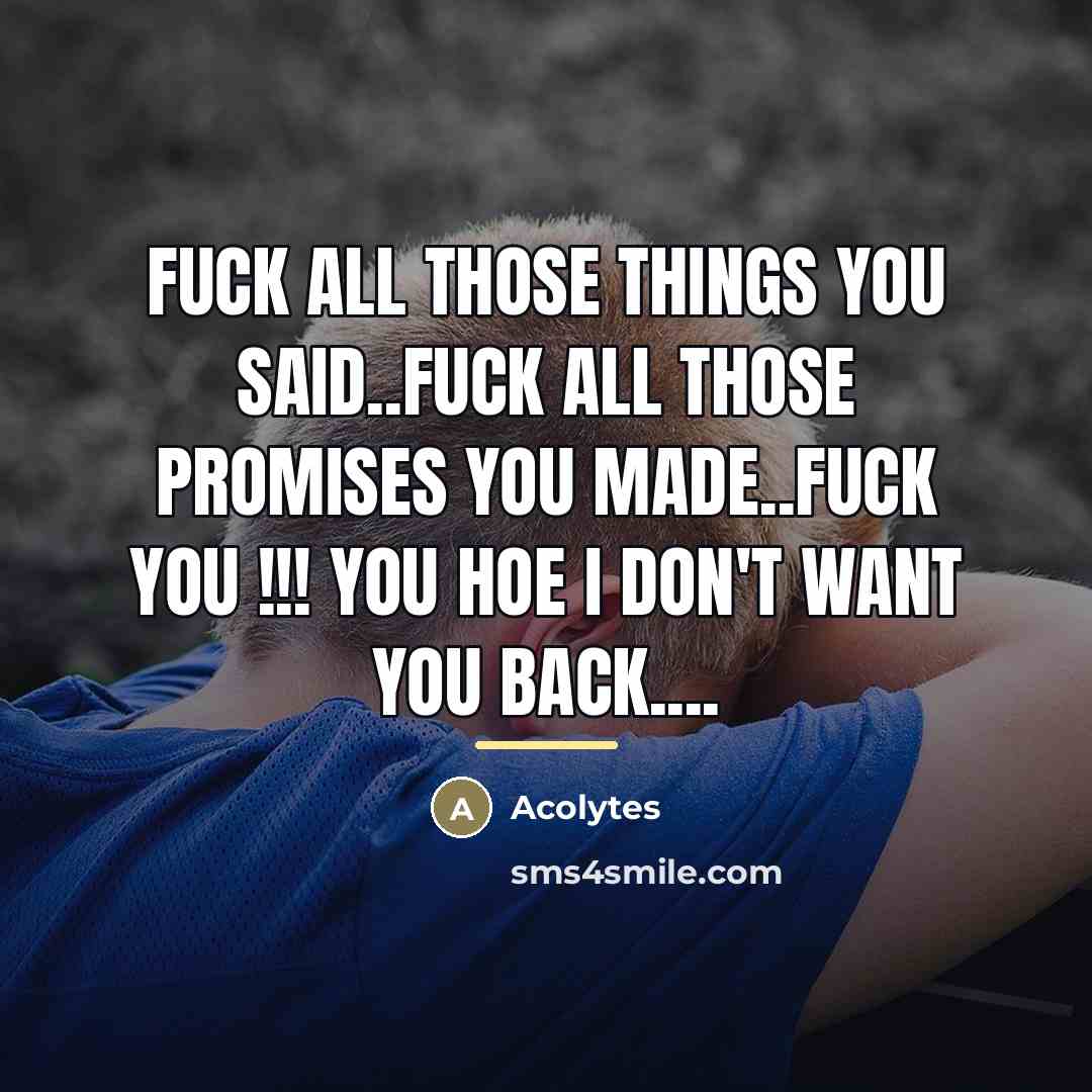 “Fuck all those things you said..Fuck all those promises you…” quote by Acolytes