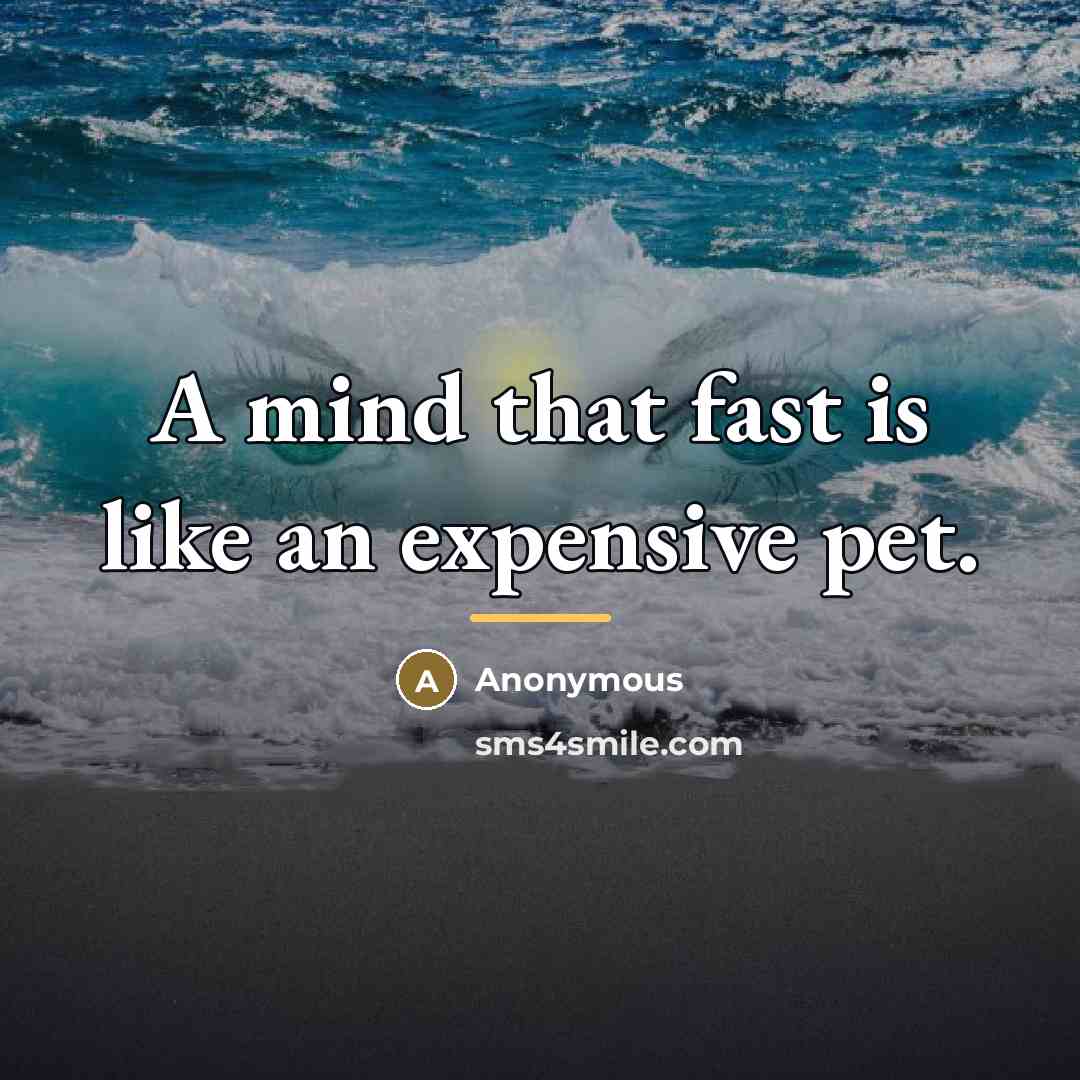 “A mind that fast is like an expensive pet.…” quote by Anonymous