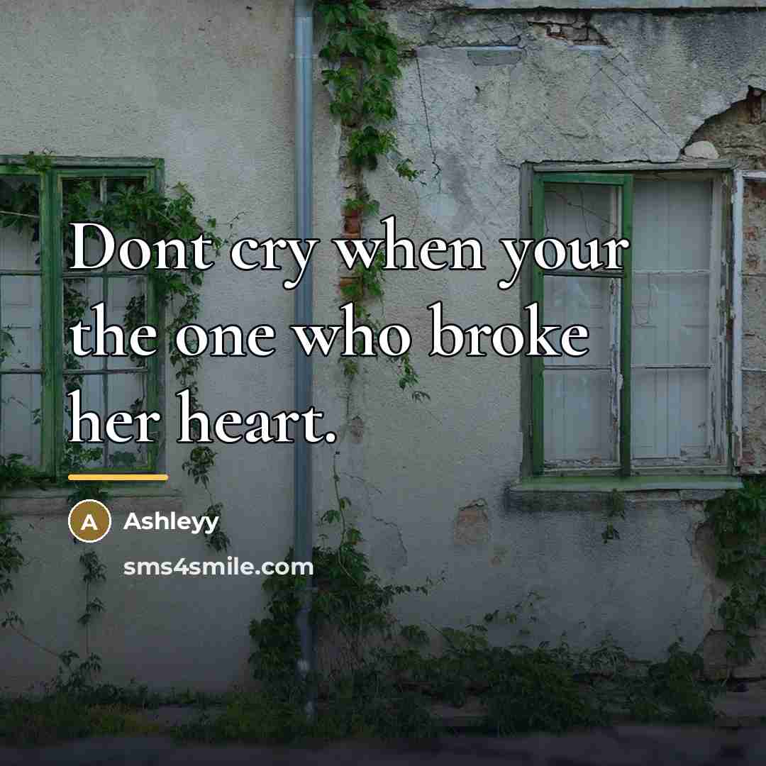 “Dont cry when your the one who broke her heart.…” quote by Ashleyy
