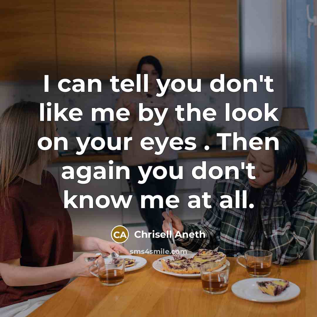“I can tell you don't like me by the look on your eyes . Then again you don't know me at all.” quote by Chrisell Aneth
