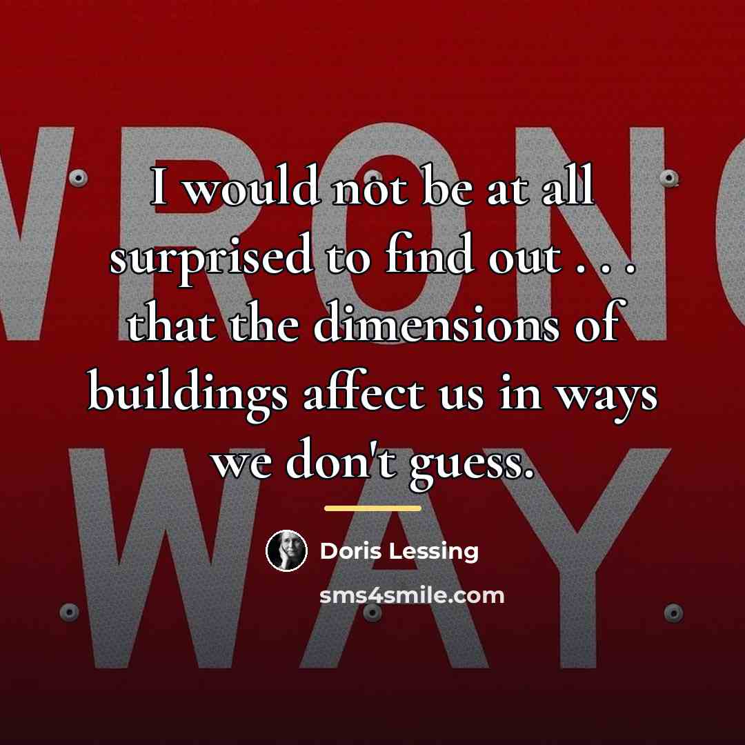 “I would not be at all surprised to find out…” quote by Doris Lessing