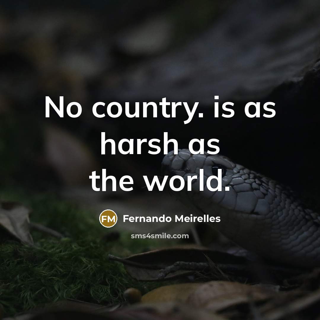 “No country. is as harsh as the world.…” quote by Fernando Meirelles