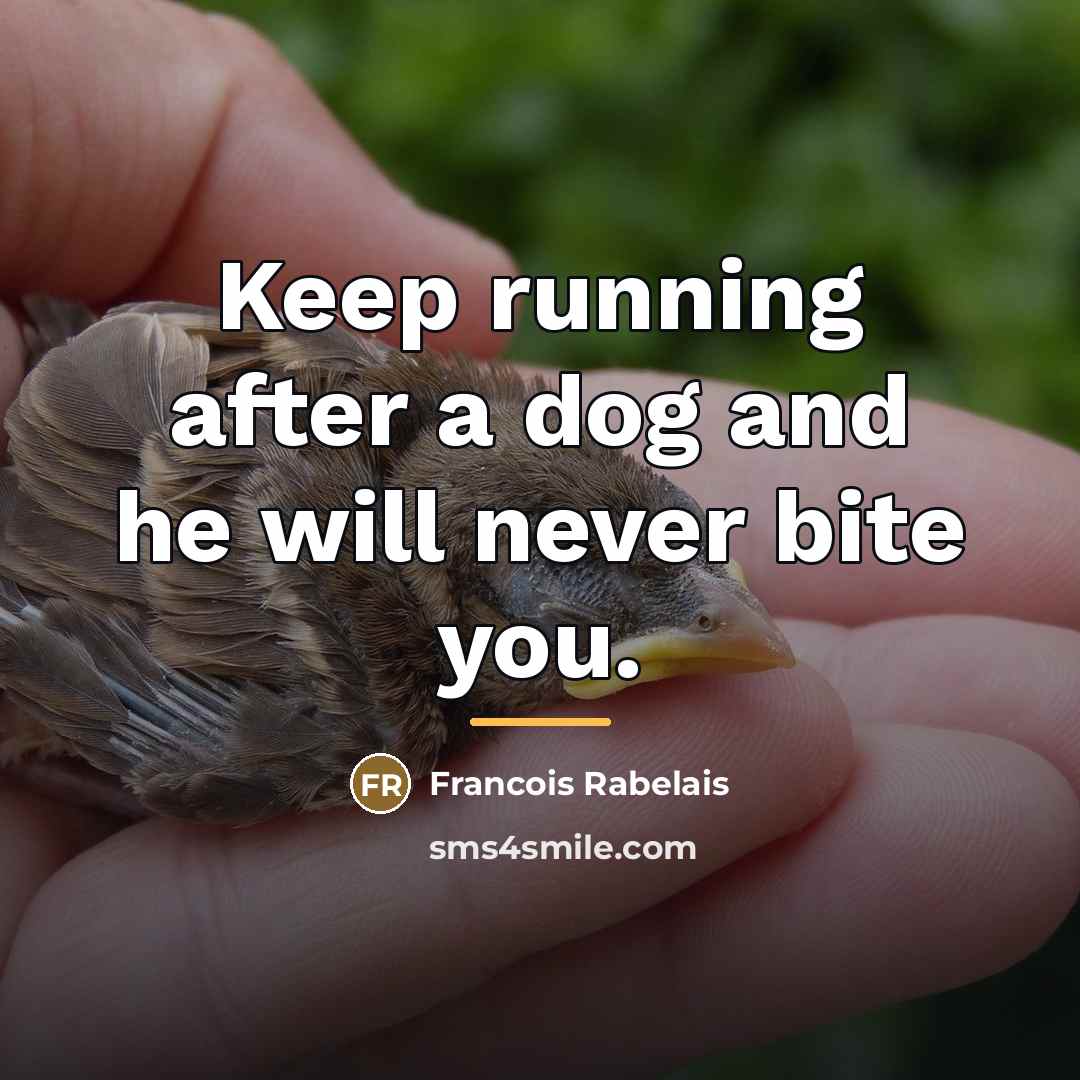 “Keep running after a dog and he will never bite…” quote by Francois Rabelais