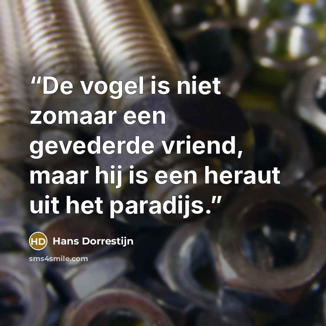 “De vogel is niet zomaar een gevederde vriend, maar hij is een heraut uit het paradijs.” quote by Hans Dorrestijn