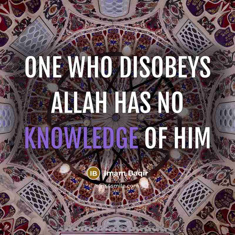“One who disobeys Allah has no knowledge of him” quote by Imam Baqir