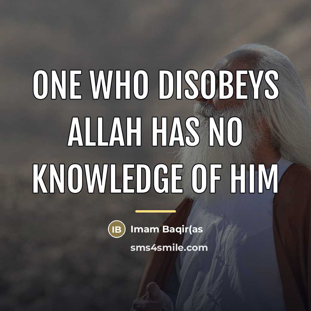 “One who disobeys Allah has no knowledge of him…” quote by Imam Baqir