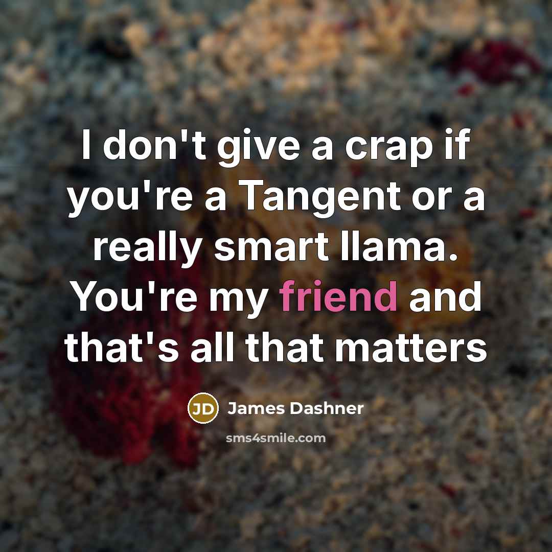 “I don't give a crap if you're a Tangent or…” quote by James Dashner
