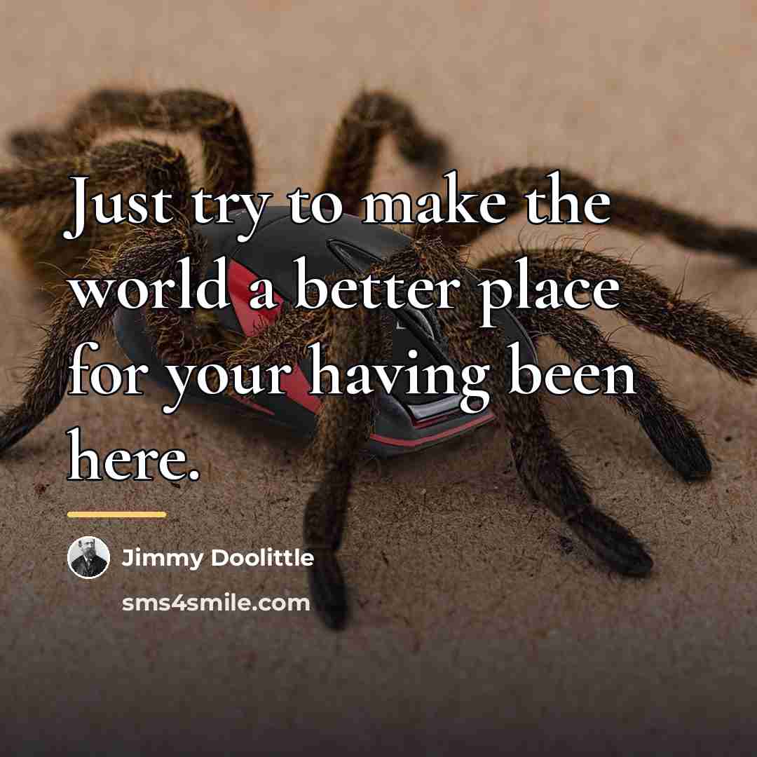 “Just try to make the world a better place for…” quote by Jimmy Doolittle