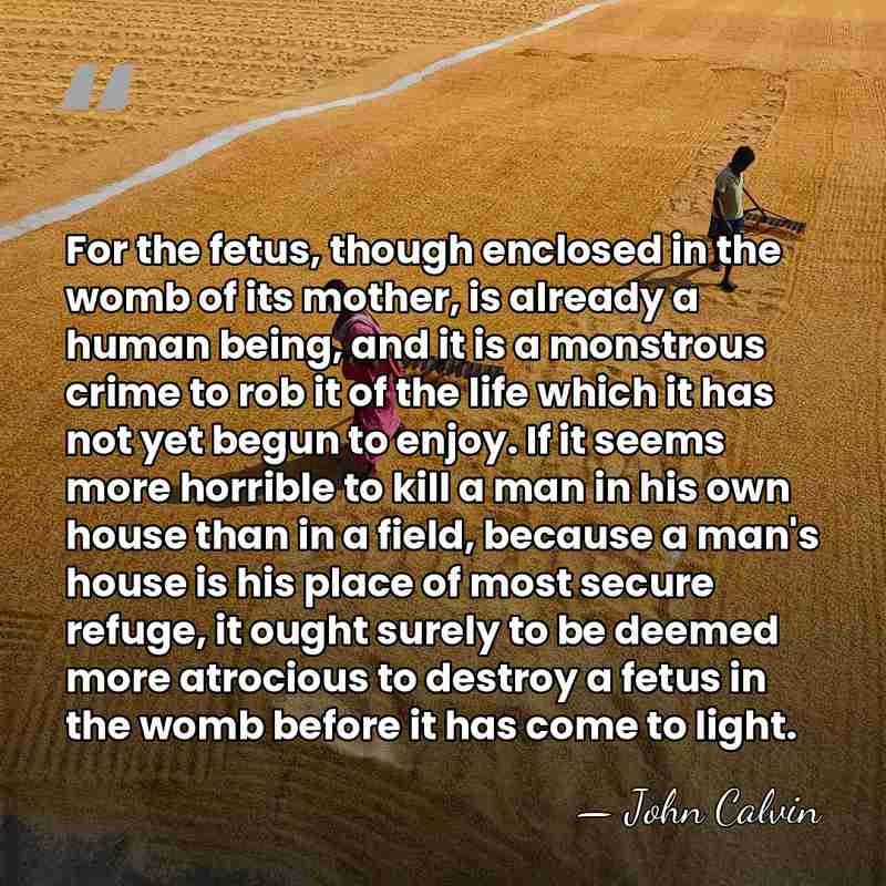 For the fetus, though enclosed in the womb of its mother, is&hellip; - John Calvin