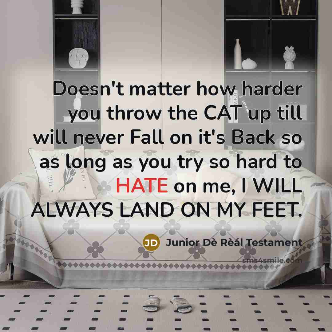 “Doesn't matter how harder you throw the CAT up till…” quote by Junior Dè Rèál Testament
