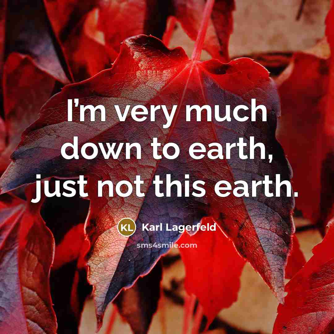 “I’m very much down to earth, just not this earth.…” quote by Karl Lagerfeld
