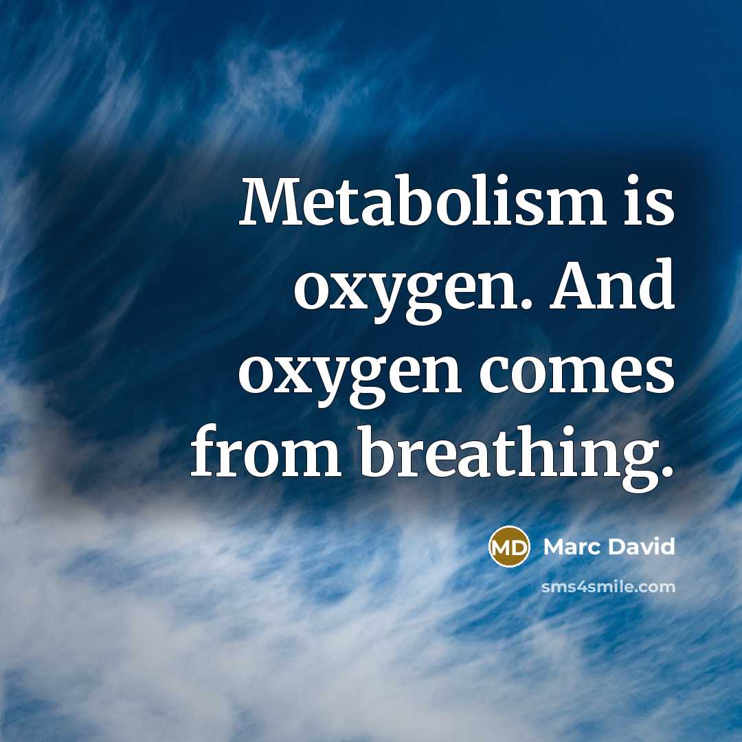 “Metabolism is oxygen. And oxygen comes from breathing.…” quote by Marc David