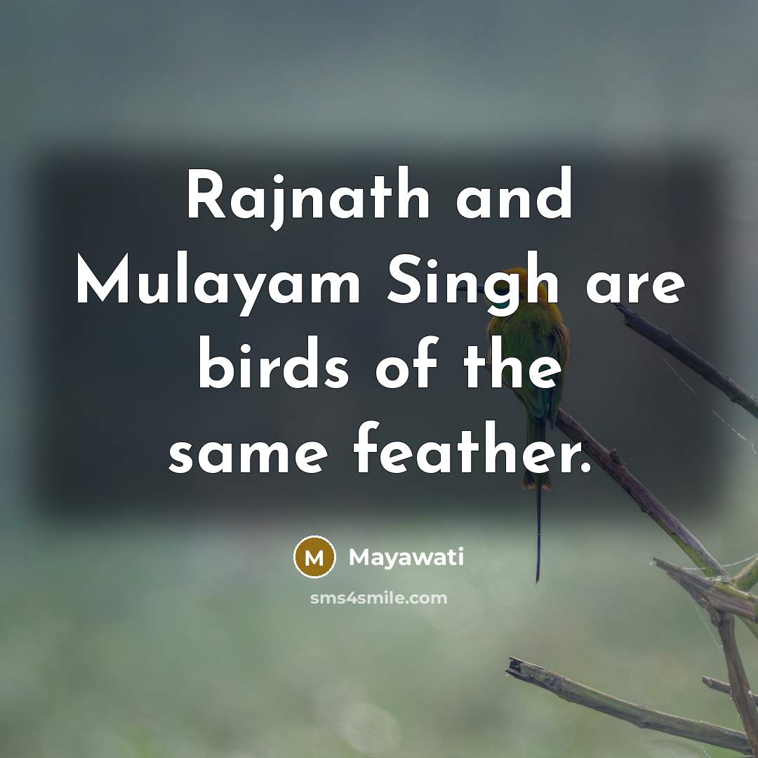 “Rajnath and Mulayam Singh are birds of the same feather.” quote by Mayawati