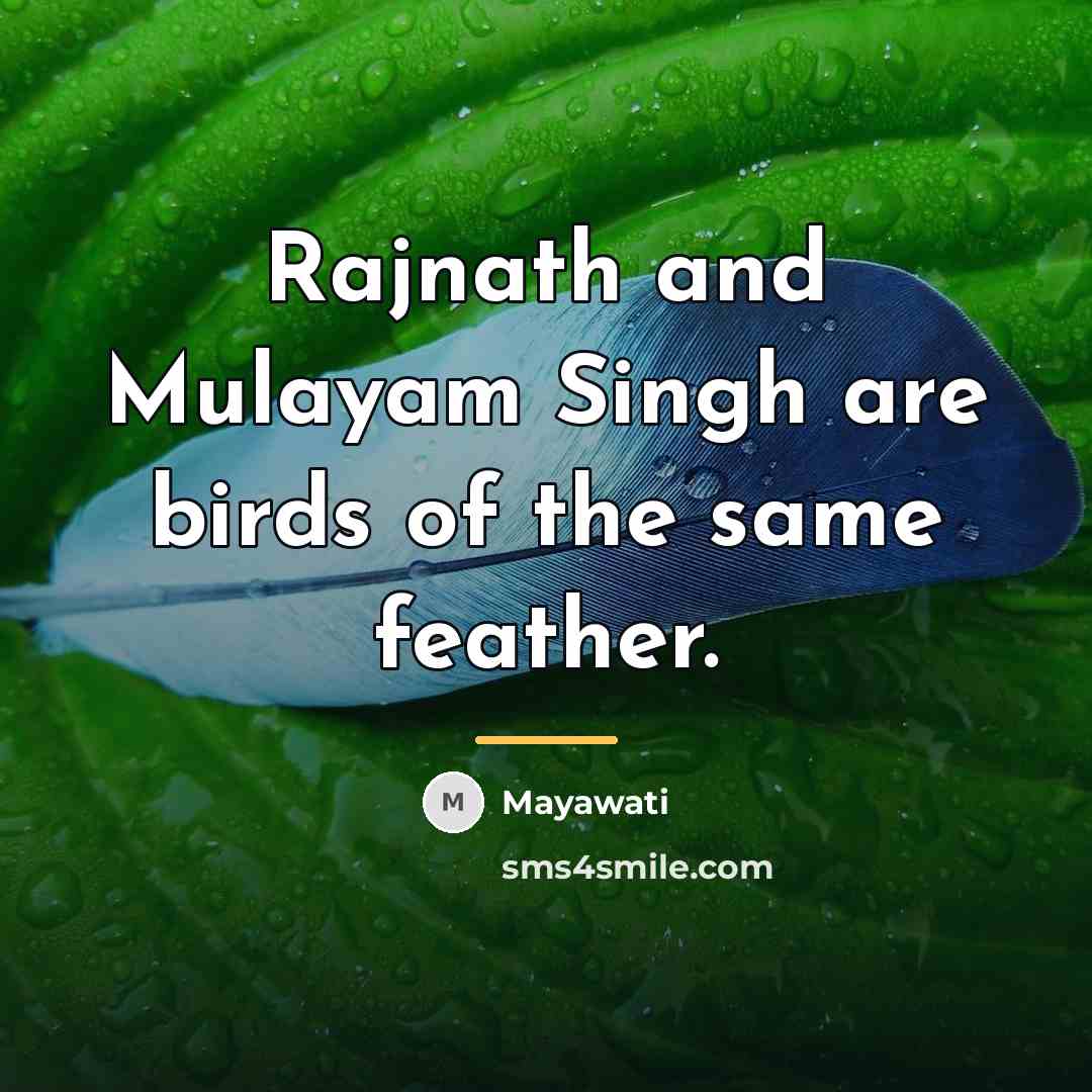 “Rajnath and Mulayam Singh are birds of the same feather.…” quote by Mayawati