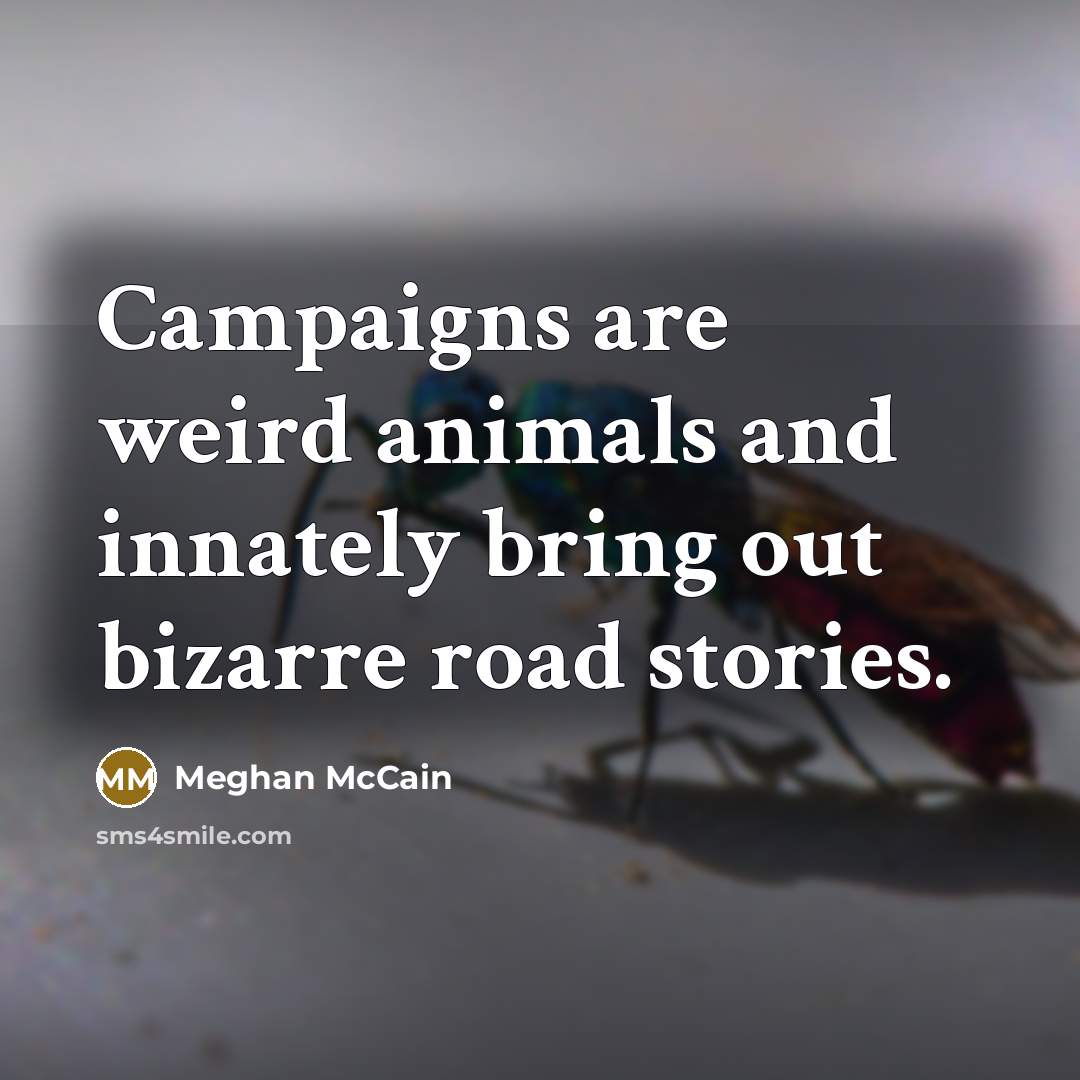 “Campaigns are weird animals and innately bring out bizarre road…” quote by Meghan McCain