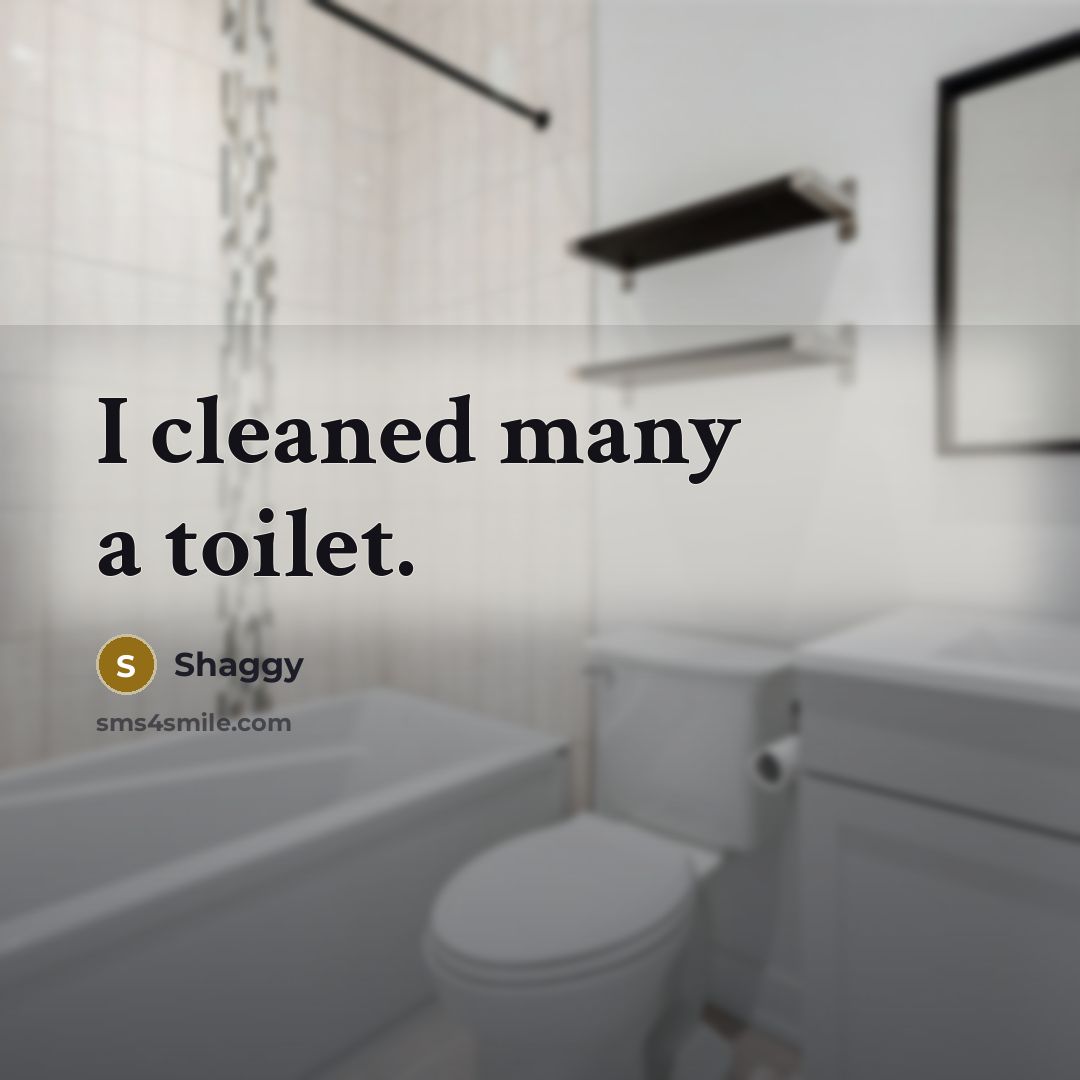 “I cleaned many a toilet.…” quote by Shaggy