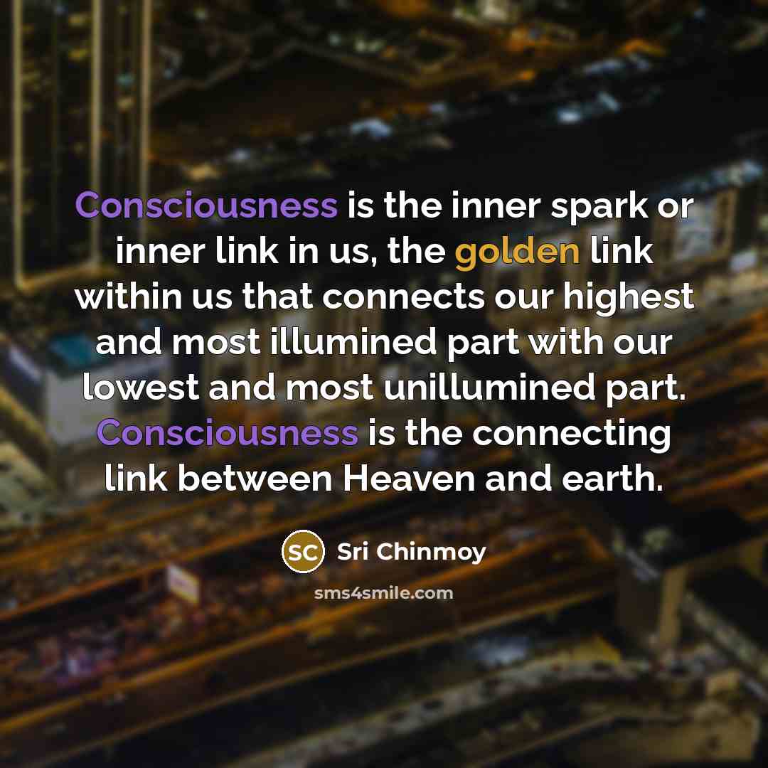 “Consciousness is the inner spark or inner link in us,…” quote by Sri Chinmoy