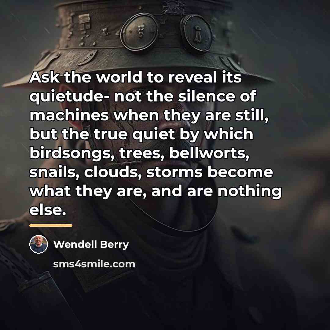 “Ask the world to reveal its quietude- not the silence…” quote by Wendell Berry
