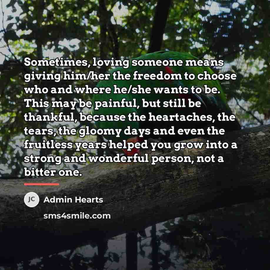 “Sometimes, loving someone means giving him/her the freedom to choose…” quote by Admin Hearts