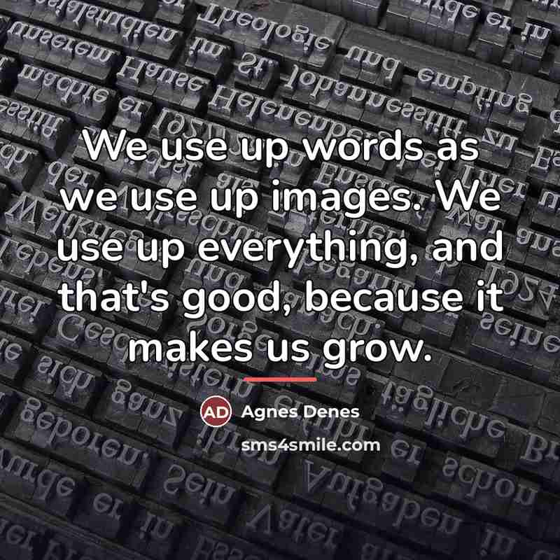 “We use up words as we use up images. We…” quote by Agnes Denes