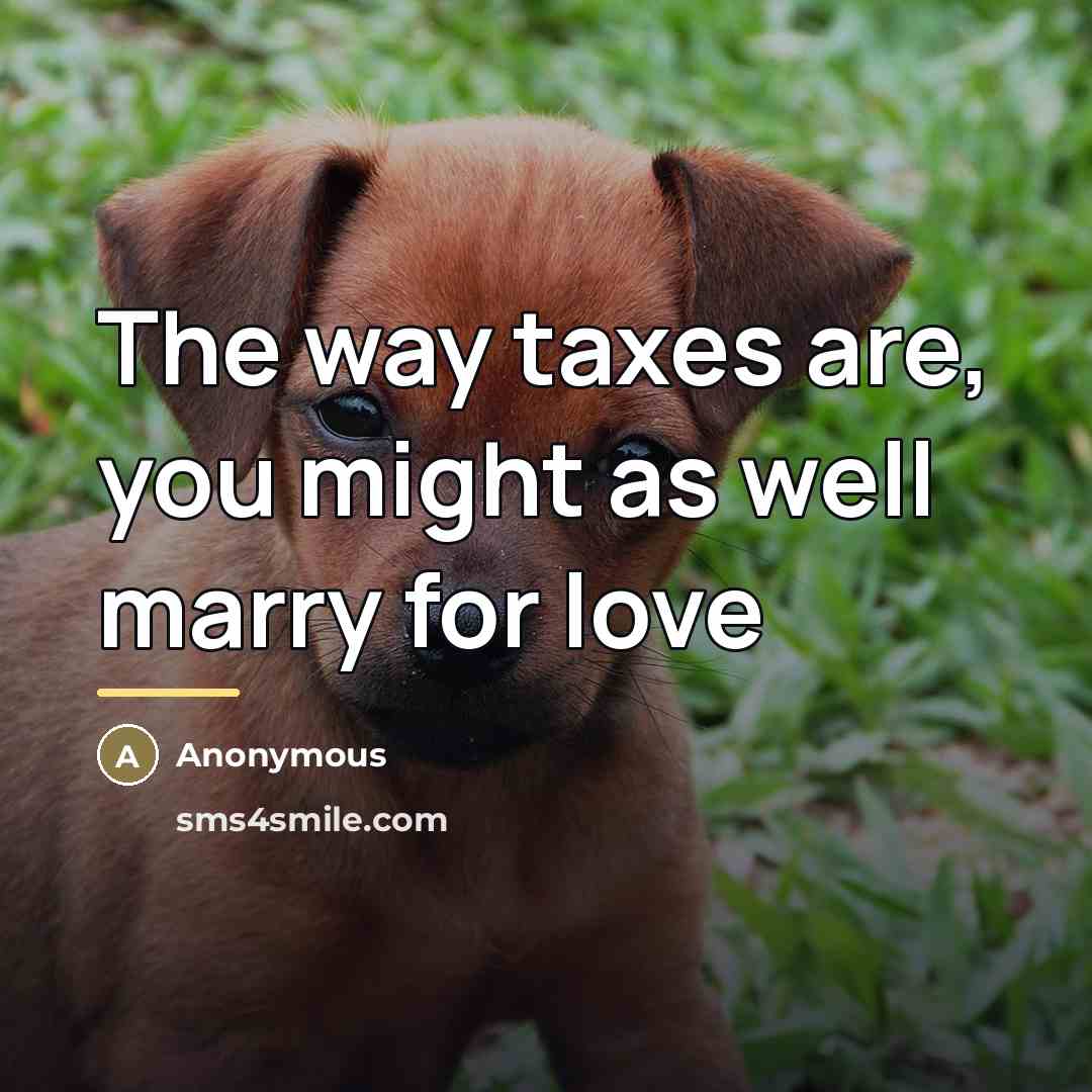 “The way taxes are, you might as well marry for…” quote by Anonymous