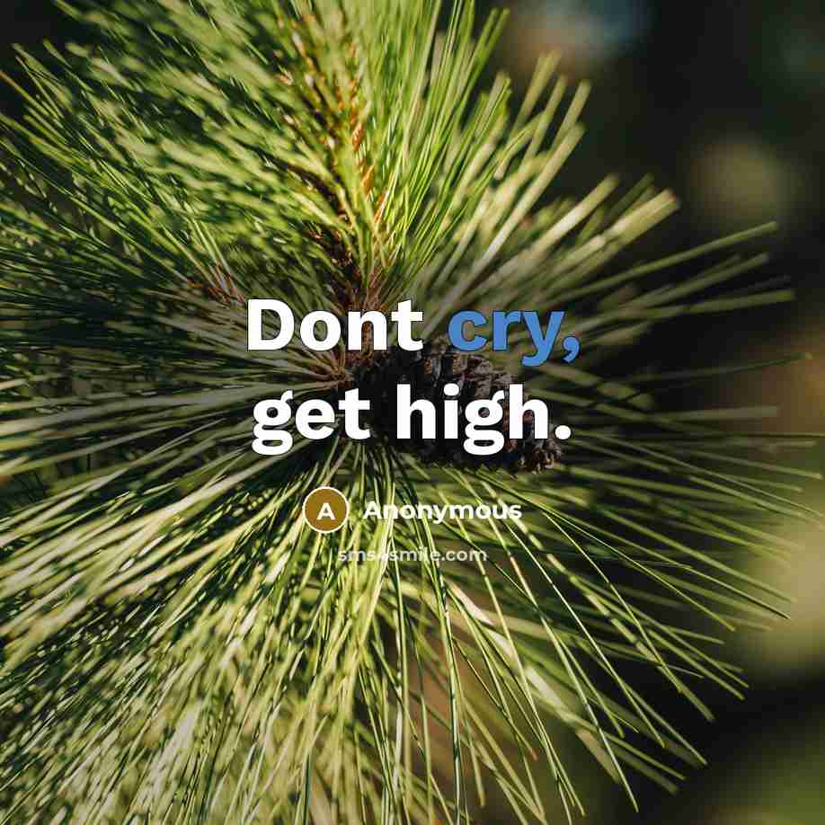 “Dont cry, get high.” quote by Anonymous