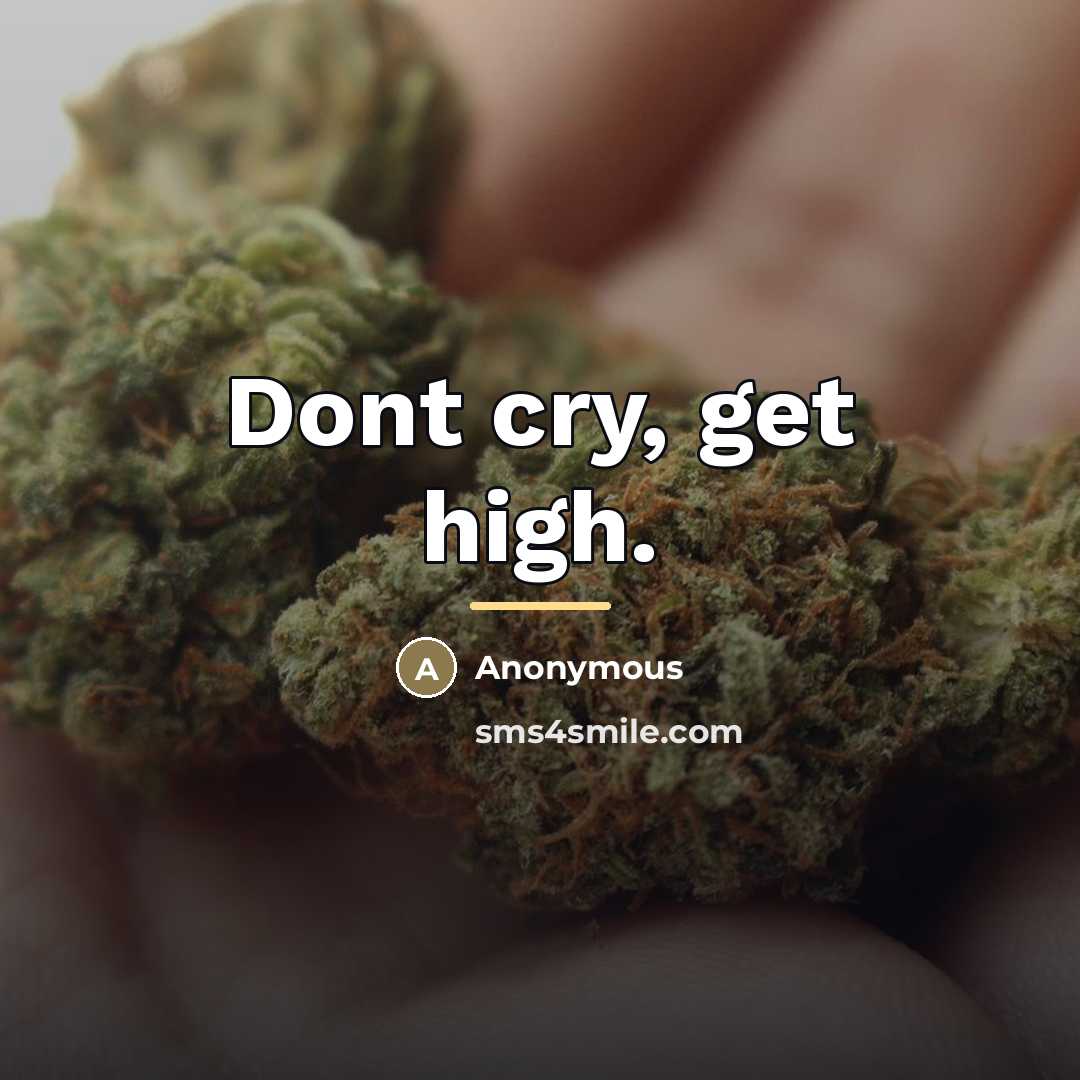 “Dont cry, get high.…” quote by Anonymous