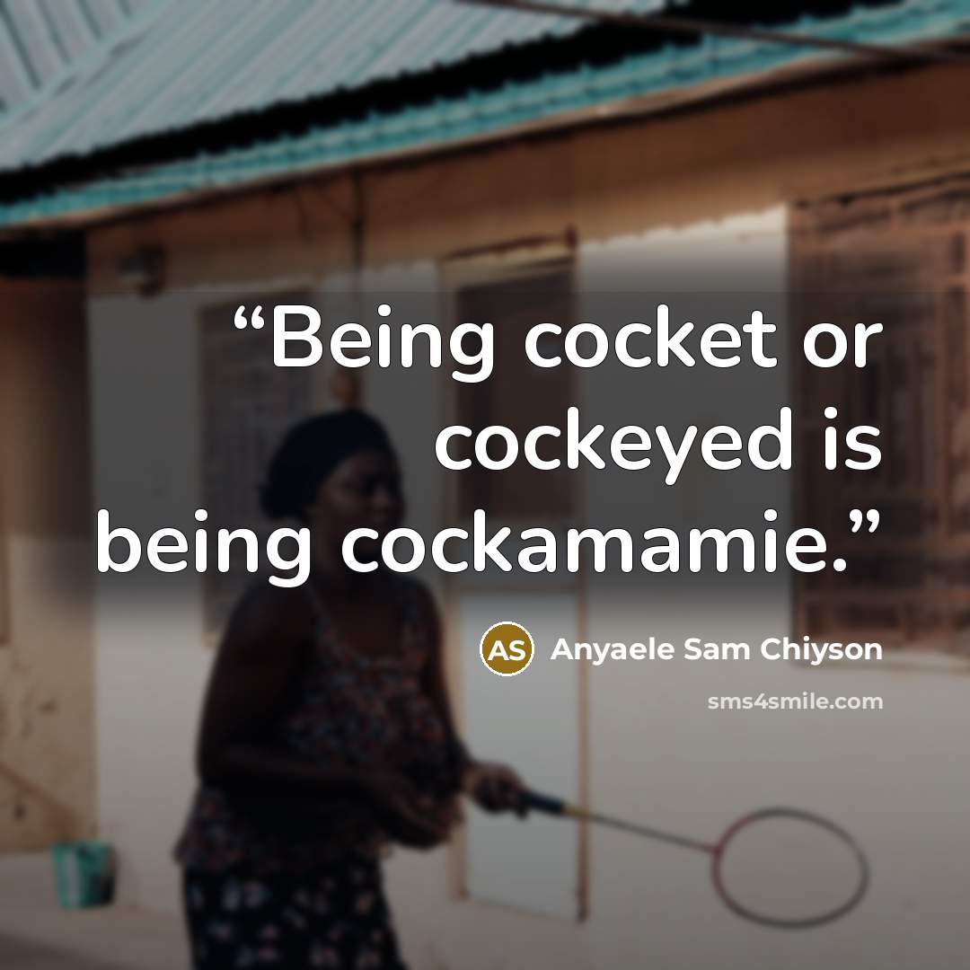 “Being cocket or cockeyed is being cockamamie.” quote by Anyaele Sam Chiyson