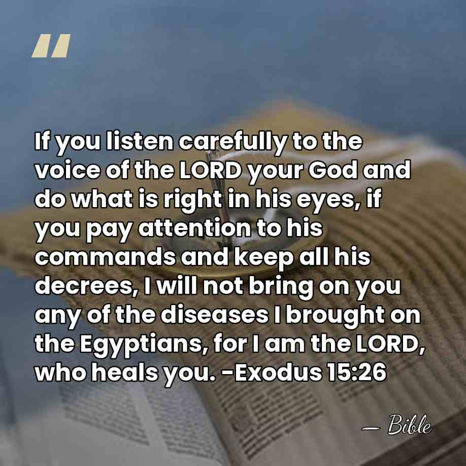 If you listen carefully to the voice of the LORD your God&hellip; - Bible