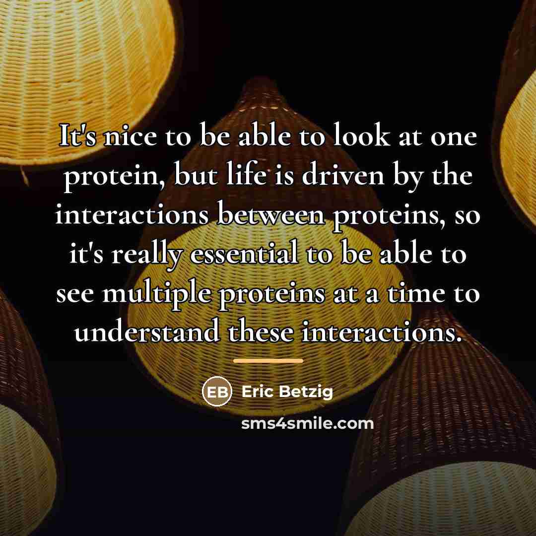 “It's nice to be able to look at one protein,…” quote by Eric Betzig