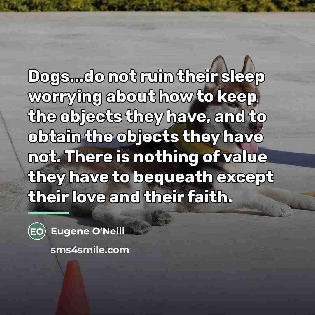 “Dogs...do not ruin their sleep worrying about how to keep…” quote by Eugene O'Neill