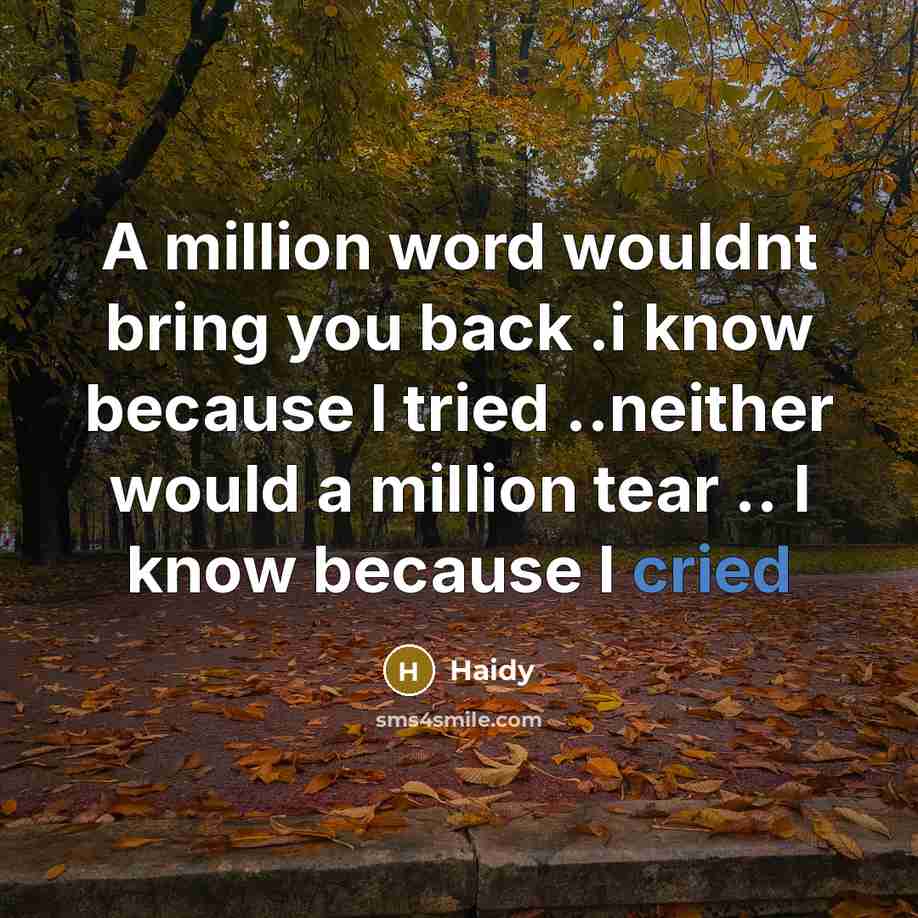 “A million word wouldnt bring you back .i know because I tried ..neither would a million tear .. I know because I cried” quote by Haidy