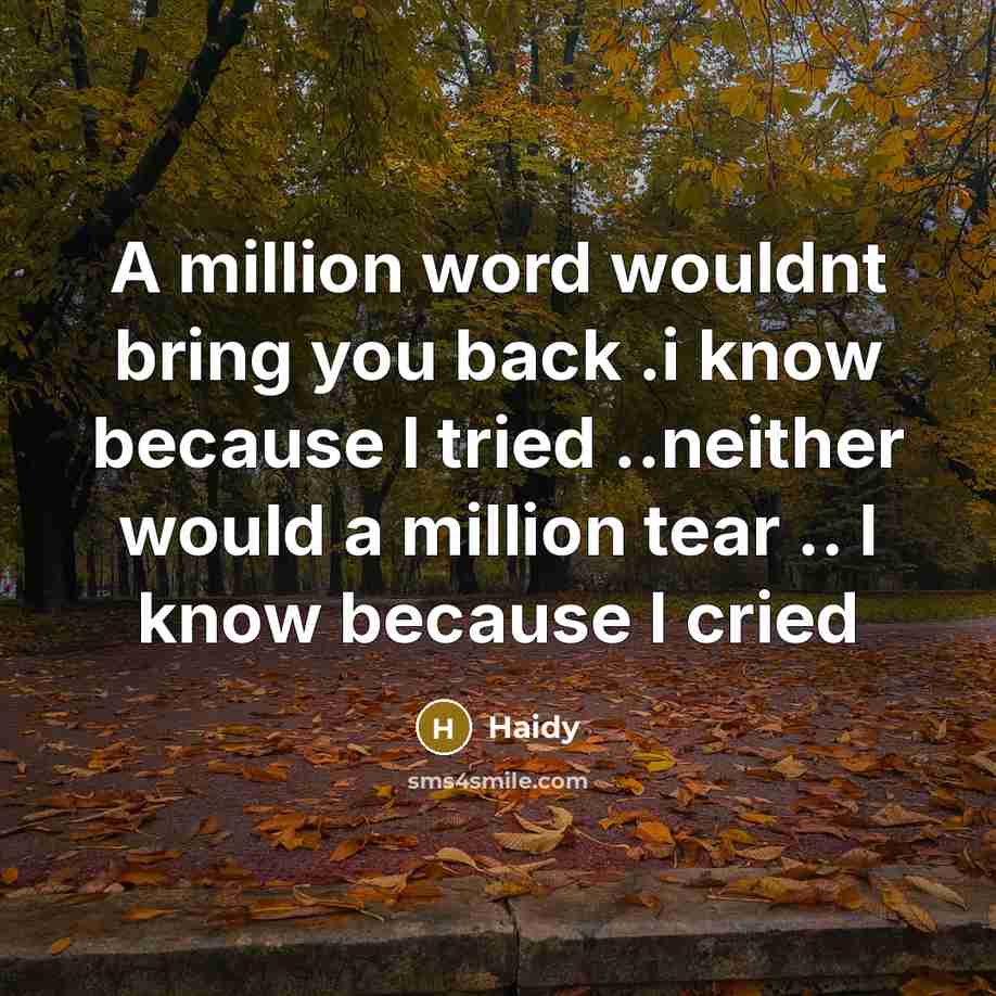 “A million word wouldnt bring you back .i know because…” quote by Haidy