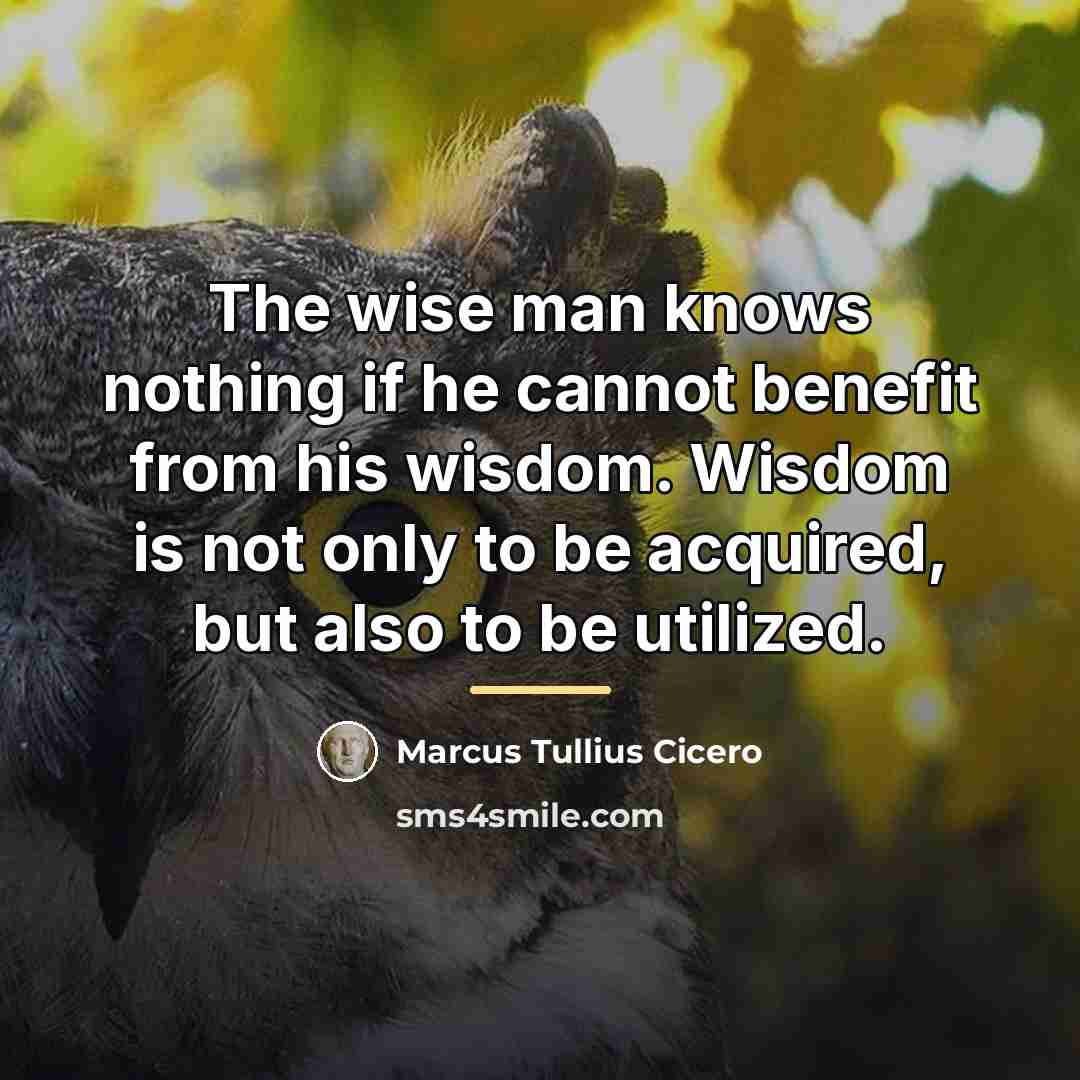 “The wise man knows nothing if he cannot benefit from…” quote by Marcus Tullius Cicero